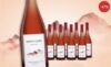 Mont Clou Rosado 2020 – 9 Flaschen Rosé aus den Pyrenäen für 47,90 € statt 89,55 € Mont Clou Rosado 2020
