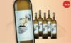 Marisa Blanco 2020 – 6 Flaschen frischer Weißwein für 49,90 € statt 83,70 € Marisa Blanco 2020