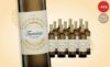 Tamina Viognier 2020 – 12 Flaschen eleganter Weißwein für 65,90 € statt 119,40 € Tamina Viognier 2020