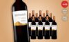 Montgó Monastrell 2019 – 12 Flaschen beliebter spanischer Rotwein für 59,90 € statt 107,40 € Montgó Monastrell 2019