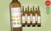Dos Puntos Blanco Organic 2021 – 12 Flaschen Bio-Weißwein aus Spanien für 54,90 € statt 95,40 € Dos Puntos Blanco Organic 2021