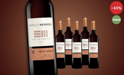 Enrique Mendoza Petit Verdot 2020