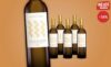 Intuicíon Sauvignon Blanc 2022